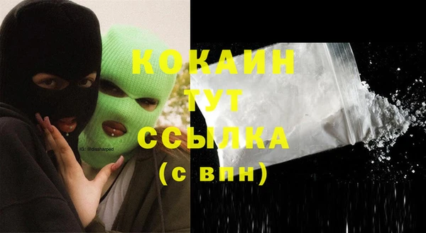 стаф Вязники