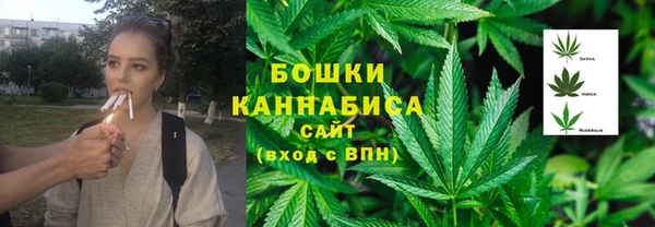 стаф Вязники